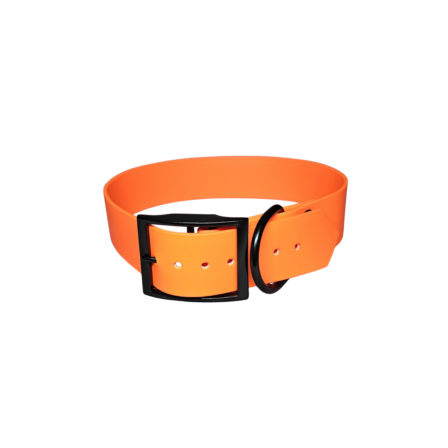 Zauberband