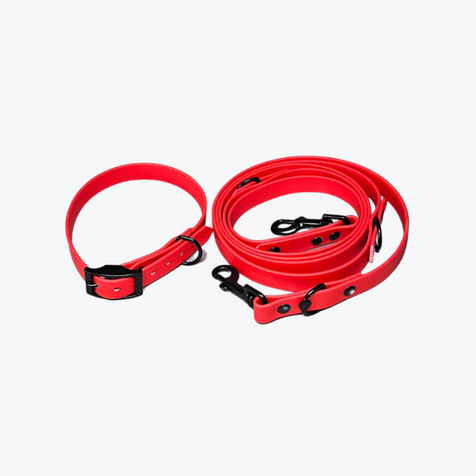 Alltagsabenteuer – Set aus Halsband & verstellbarer Leine